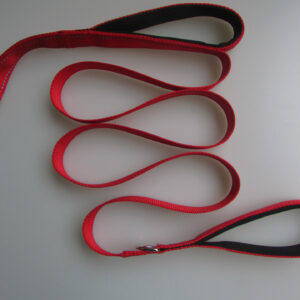 Rattle Snake Tail