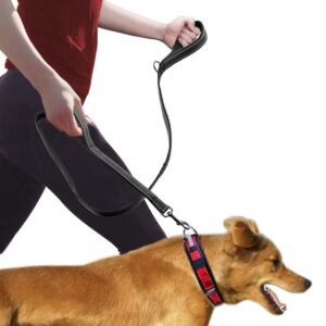 Correa para Perro de Doble Asa Anti tirones